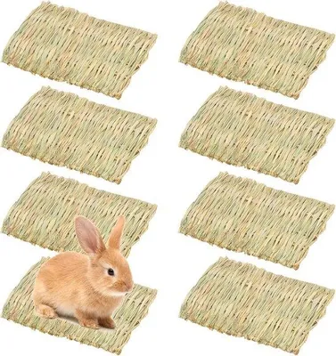 Zdjęcie produktu dla Naturalny Grassmat dla królików i świń morskich - 8 sztuk, 20 x 28 cm, Chew Toys and Bedmat dla małych zwierząt