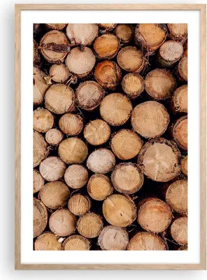 Produktbild von Gerahmtes Poster - Rahmen in heller Eiche - Holz Baumstämme Stämme - 50x70 cm - Wand Bild - Wanddeko - Wandbilder - Kunstposter - Wandposter - Bilderrahmen - Bilder - Kunstdruck - P2NPA50x70-4864