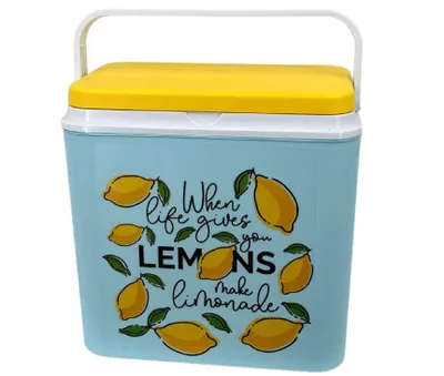 Produktbild von Kühlbox ATLANTIC für Kühlakkus 24 L LEMONS