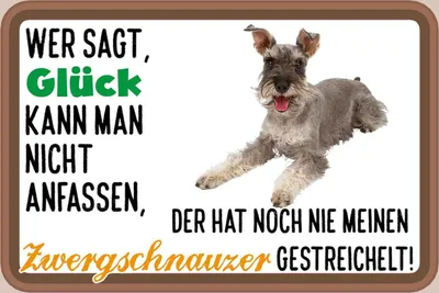 Produktbild von vianmo Holzschild 12x18 cm Glück Zwergschnauzer Hund Dekoration