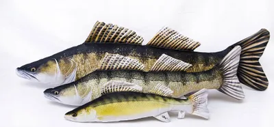 Produktbild von Fish Plüschtier Stofftier Plüschkissen Fischkissen Geschenkidee Kuscheltier 50 cm