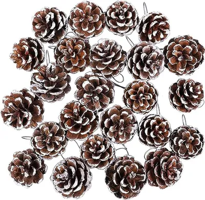 Immagine prodotto di HERZWILD Mini ornamenti di pigne di Natale 48pz - Artigianato fai da te e decorazione dell'albero di Natale