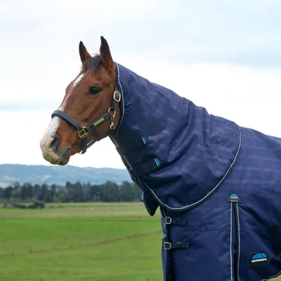Image de Couvre-cou Weatherbeeta Comfitec Prelim Turnout 220 g - Taille L