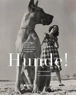 Image de Hunde!