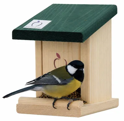 Vogelhaus aus Kiefernholz mit grünem Dach, wetterfest