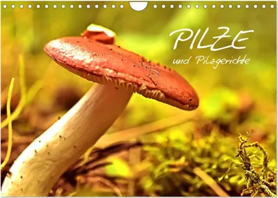 Produktbild von Pilze und Pilzgerichte (Wandkalender 2025 DIN A4 quer), CALVENDO Monatskalender