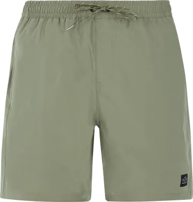 Image de Short de plage Protest PRTBAKY vert XXL