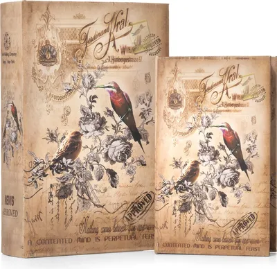 Produktbild von Moritz 2er Set Buchtresor Buchattrappe Deko Vögel Vögelchen Piepmatz Buch Safe Box Schatulle Buchhülle Geldversteck