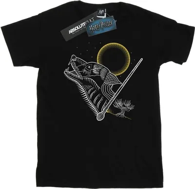 Produktbild von Harry Potter - T-Shirt für Herren BI29818 (M) (Schwarz)