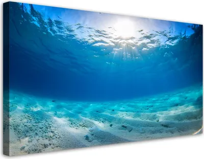 Produktbild von Leinwandbild Meeresboden Natur 80x40 Feeby Blau bild für die wand bereit zum aufhängen