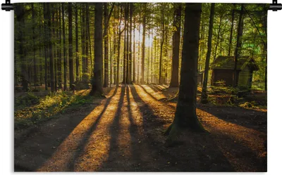 Produktbild von MuchoWow® Wandteppich Wandbehang Sonne - Bäume - Wald - Landschaft - Natur 120x80 cm Tapisserie Dekoration Wandtuch - Wanddekorationen - Wandtücher