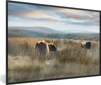 Produktbild von MuchoWow® MuchoWow® Gerahmtes Poster Schottische Hochlandrind - Nebel - Gras 60x40 cm - Poster mit zchwarzem Bilderrahmen - Printing - Wanddeko Schlafzimmer