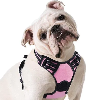 Produktbild von Famanu Hundegeschirr – Anti-Zieh-Geschirr – Verstellbar – Schwarz