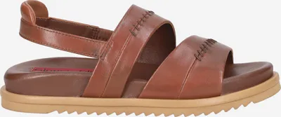 Produktbild von Ginger & Glove G&G321 V.4, Sandaletten in Braun für Damen, Größe 37