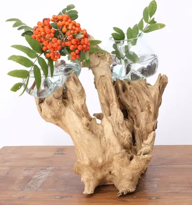 Produktbild von Exotische Wurzelholz Vase mit 2 Gläsern - 2 * Ø Glas bis 10 cm, Holz,Glas,Wurzelholz, Vasen & Blumentöpfe
