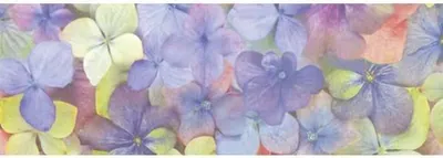 Produktbild von Transparentpapier 115g/qm A4 VE=25 Blatt Flora Hortensie