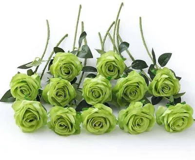 Immagine prodotto di Rose artificiali - Fiori artificiali realistici - 12 pezzi - Verde - 53 cm
