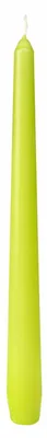 Obrázek produktu pro Duni Leuchterkerzen kiwi 25 cm 50 Stück