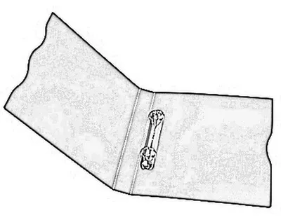 Produktbild von Ringbuch Trend A4 2 Ringe 15mm PP gelb-transparent