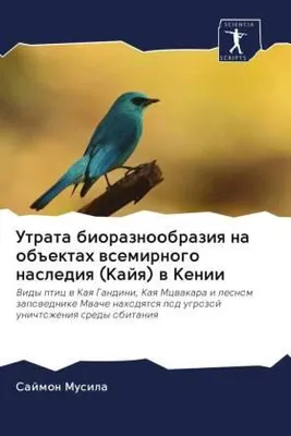 Produktbild von Utrata bioraznoobraziq na ob#ektah wsemirnogo naslediq (Kajq) w Kenii