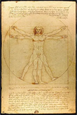Obrázek produktu pro Plakát Vitruvian Man 61x91,5cm