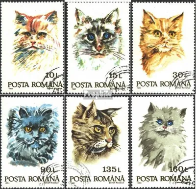 Produktbild von Briefmarken Rumänien 1993 Mi 4885-4890 (kompl.Ausg.) gestempelt Katzen