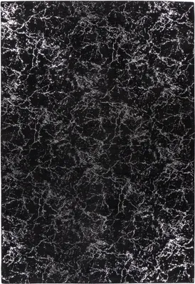 Produktbild von Teppich >Bijou< in Schwarz / Silber, 100% Polyester - 170x120cm (LxB)