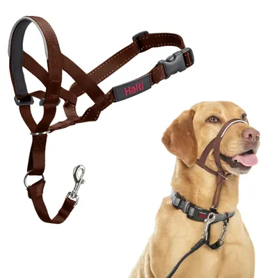 Produktbild von HALTI Kopfgeschirr Größe 3 - Anti-Zug-Halsband für mittelgroße Hunde, leicht und gepolstert