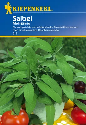 Produktbild von Kiepenkerl Salbeisamen, mehrjährig