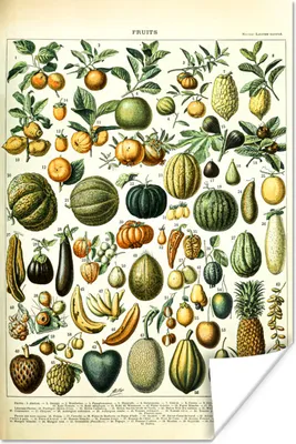 Produktbild von MuchoWow® Poster Obst - Lebensmittel - Design - Vintage - Adolphe Millot 120x180 cm - Kunstposter