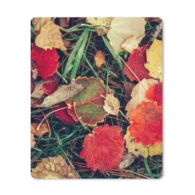 Produktbild von MuchoWow® Mauspad Mousepad Blätter - November - Herbst - Natur 30x40 cm - Mousepads - Maus Mat - Pad - Mausunterlage - Mausmatten