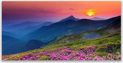 Produktbild von Tulup Leinwand-Bilder 140x70 Wandbild Canvas Kunstdruck Gebirge Wiese Blume Landschaft