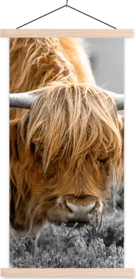 Produktbild von MuchoWow® Textilposter Scottish Hochlandrind - Pflanzen - Schwarz - Weiß 60x120 cm mit holzfarbenen Rahmen - Holz