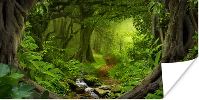 Produktbild von MuchoWow® Poster Dschungel - Grün - Natur - Tropisch - Pflanzen 40x20 cm - Poster für die Wand - Poster Schlafzimmer