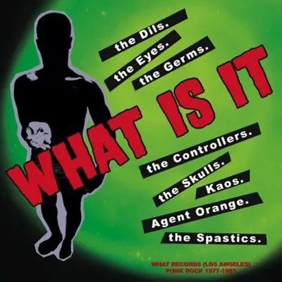 Obrázok produktu pre Various Artists - What Is It - What Records Punk Rock 1977-1983 (10")