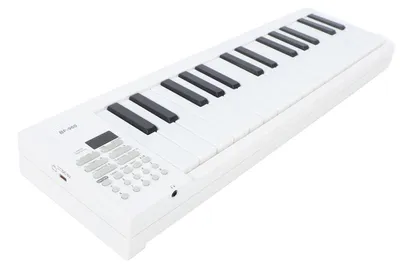 Produktbild von Faltbares Piano mit 61 Tasten - Tragbares Keyboard - Elektronisches Musikinstrument