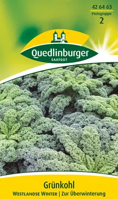 Produktbild von Quedlinburger Saatgut - Grünkohl Westlandse Winter - Samen - 426463