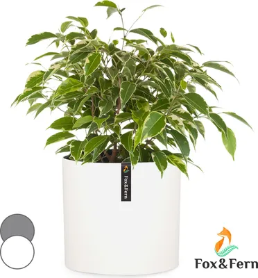 Image de Fox & Fern Pot de Fleur Interieur, Pot pour Plantes en Polystone, Cache Pot Plante Interieur et Extérieur Résistant UV et Gel, Pot Fleur Exterieur Grande Taille, Jardinieres Exterieur Bouchon Drainage