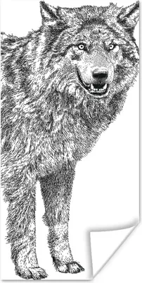 Produktbild von MuchoWow® Poster Wolf - Weiß - Skizze 20x40 cm - Plakat - Foto