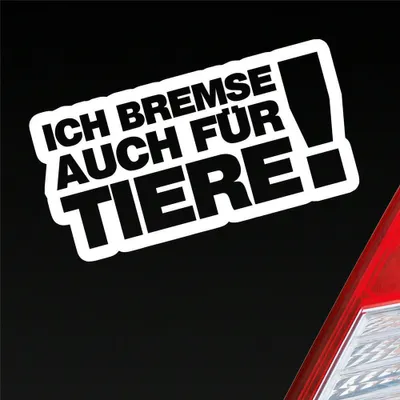 Produktbild von Auto Aufkleber Ich bremse auch Zubehör passend für Tiere! Tierfreund 15x7,5 cm Weiss Glanz Sticker Heckscheibenaufkleber