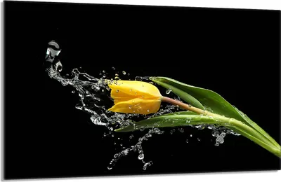 Produktbild von Herdabdeckplatte 80x52cm 1-teilig Glaskeramikkochfeld-Abdeckung Spritzschutz, Tulpe Schwarz