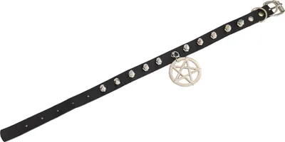 Produktbild von Choker Pentagramm
