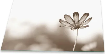 Produktbild von Herdabdeckplatte Abdeckung Glaskeramikkochfeld Abdeckplatte 1-Teilig 80x52 Blumen Grau