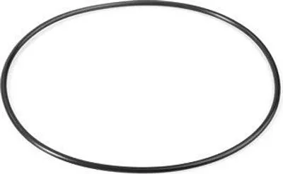 Zdjęcie produktu dla Oring 107,62 x 2,62 Kärcher 6.362-796.0