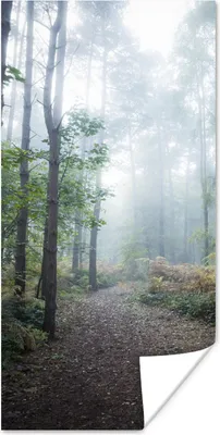 Produktbild von MuchoWow® Poster Wald - Nebel - Weg 20x40 cm - Plakat - Foto