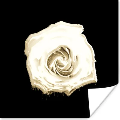Produktbild von MuchoWow® Poster Rose - Blumen - Weiß - Schwarz 50x50 cm - Wohnzimmerdekoration