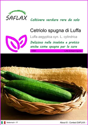 Immagine prodotto di SAFLAX  - Cetriolo spugna di Luffa - 10 semi - Luffa