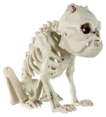 Produktbild von Bulldogge Hundeskelett Dekoration 24 cm