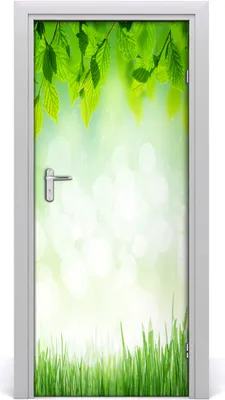 Produktbild von Tulup Türaufkleber 85x205 cm Dekorative Aufkleber Selbstklebend Wasserdichte Tapete Abnehmbar Schlafzimmer Wohnzimmer Wohnkultur - Blätter und Gras Wandtattoo Wand