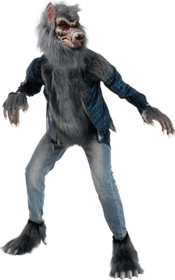Produktbild von Werwolfkostüm Kinder grauhaarig Halloween Maske Jungen Mädchen L 10-12 Jahre